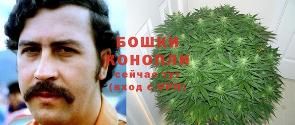 ешки Пестово