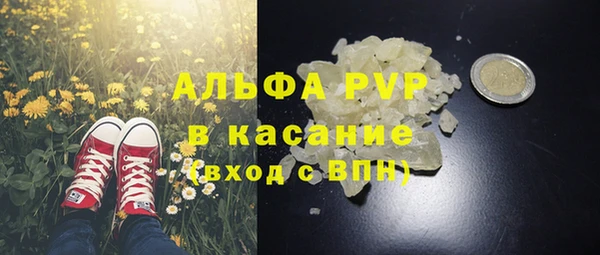 СК Аркадак